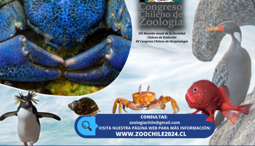 I CONGRESO CHILENO DE ZOOLOGÍA